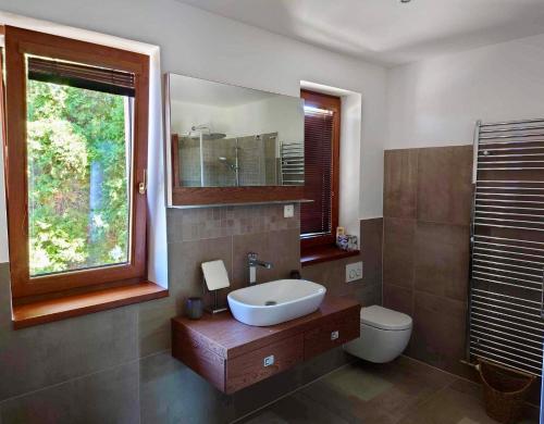 a bathroom with a sink and a toilet and a window at Apartment Gemer & Volovec in Rožňava