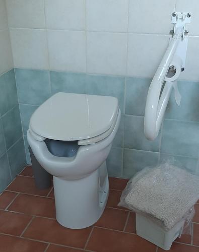 a bathroom with a white toilet and a sink at L'Albero degli Struzzi in Penna in Teverina