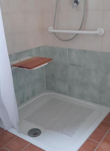 a bathroom with a shower with a bath tub at L'Albero degli Struzzi in Penna in Teverina