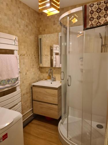 uma casa de banho com um chuveiro e um lavatório. em CHARMANT T2 de MONTAGNE à la STATION DES ROUSSES AVEC BALCON ET GARAGE em Les Rousses
