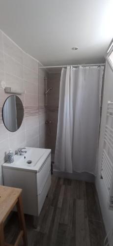 a bathroom with a white shower curtain and a sink at Le Refuge du Musée in Sacy-le-Grand