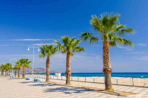 una fila de palmeras en una playa de arena en Casa Gialla - Bilocale indipendente, en Soverato Superiore