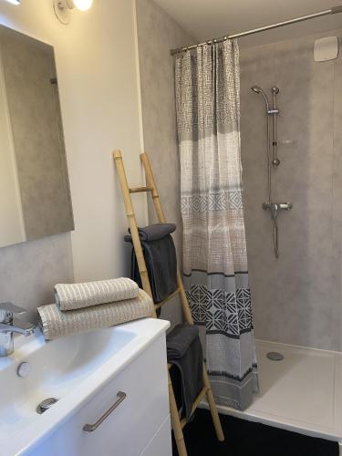 La salle de bains est pourvue d'un lavabo et d'une douche avec une échelle. dans l'établissement logement, à Angliers