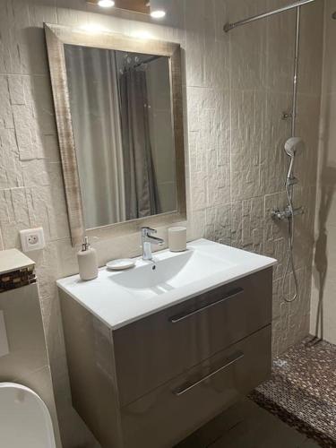 une salle de bain avec un lavabo et un miroir et des toilettes dans l'établissement Charmante maison de location à Blauzac (30), à Blauzac