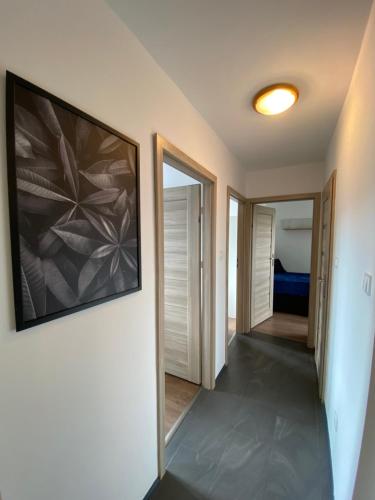 a hallway with a painting on the wall and a mirror at Apartament Słowackiego 29 in Gdańsk
