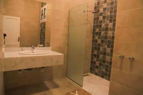 a bathroom with a sink and a shower at Royal Nile Villas - Pool View Apartment 1 in Luxor