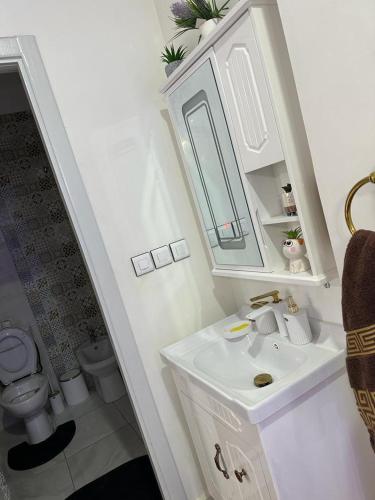 ein weißes Bad mit einem Waschbecken und einem WC in der Unterkunft planets house in Deroua