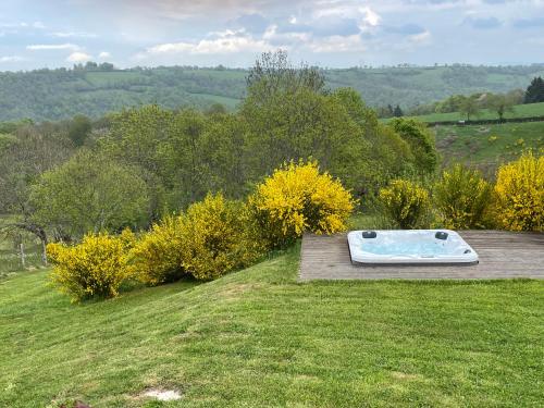 une baignoire installée au-dessus d'une pelouse dans l'établissement Maison en pleine nature avec spa, à Vezels-Roussy