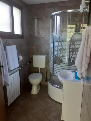 a bathroom with a shower and a toilet and a sink at Sokol in Ogulin