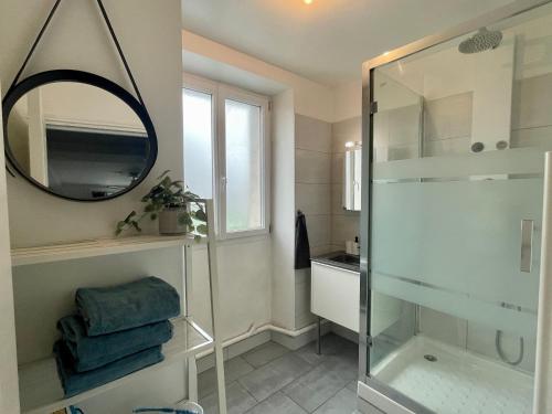 y baño con ducha y espejo. en Le Parisien Choisy, 15 min de Paris en RER C, Proximité Orly, en Choisy-le-Roi