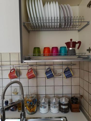 a kitchen counter with dishes on a shelf above a sink at Casa Maya in Sarnano