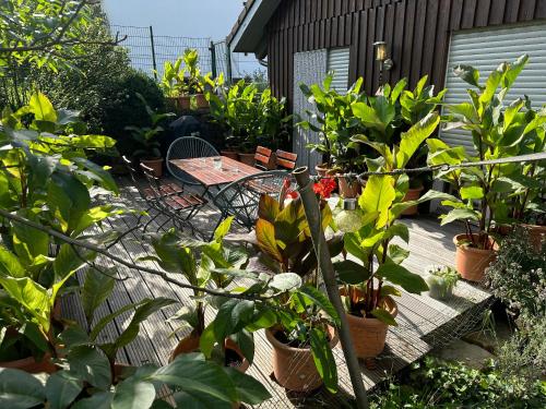 a patio with lots of plants and a table at Wiehler- Ferienwohnung in Wiehl