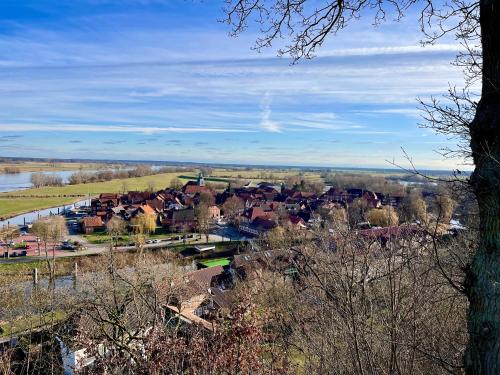 a small town with houses and a river and trees at Ferienwohnung Hitzacker/Elbe in Hitzacker