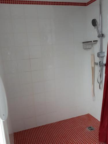 La salle de bains est pourvue d'une douche et de carrelage rouge. dans l'établissement chez Zabou, à Sainte-Suzanne