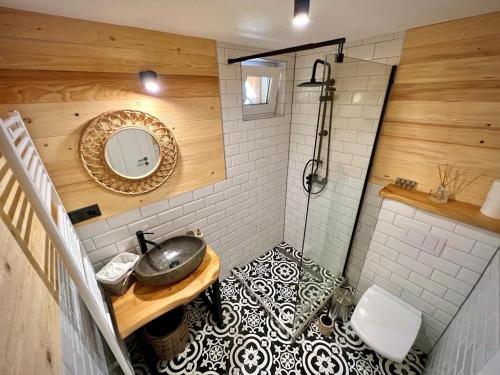 a bathroom with a sink and a toilet and a mirror at Victoria Gasthaus Rasnov - charming vacation house in Rasnov in Râşnov