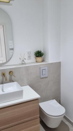 une salle de bain avec un lavabo, des toilettes et un miroir dans l'établissement Victoire Saphir 203 climatisé hôtel de ville, à Saint-Dizier
