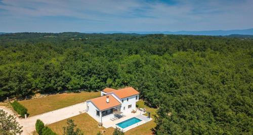 an overhead view of a house with a swimming pool at Vila Prisunca jacuzzi & swimming pool in Pazin