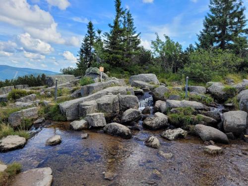 a stream with rocks and trees on a mountain at Apartament Nina in Jelenia Góra