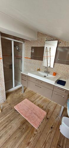 a bathroom with a sink and a shower at Mialie Duplex familial classé 3 étoiles in Le Boulou