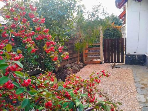 a garden with red flowers and a wooden fence at Casa Cipres in San Martín de los Andes