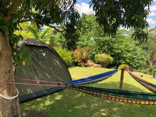 a tent is tied to a tree in the grass at Nileit Campsite Jinja in Jinja