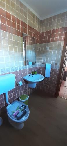 Kúpeľňa v ubytovaní Casinha do Chorão