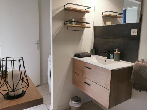 安锡Charmant appartement à 1 minute du lac的带水槽和镜子的浴室