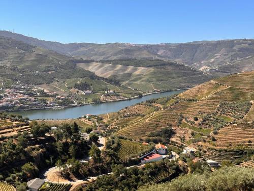 a view of a river and a valley with vineyards at Casa da Amendoeira Covelinhas in Peso da Régua