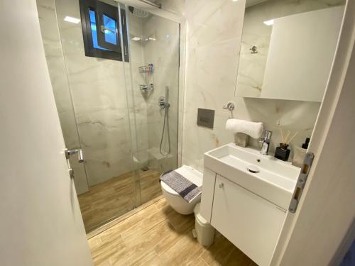 een badkamer met een douche, een toilet en een wastafel bij K.G APARTMENT 2 in Pefkochori