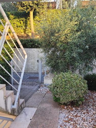 a set of stairs leading to a garden with a bush at Appartamento A in Gradara