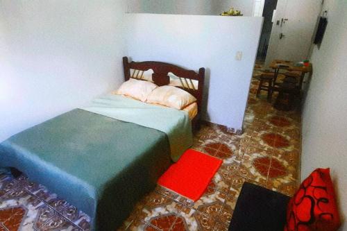 a bedroom with a bed and a red floor at STUDIO NITERÓI-BARCAS in Niterói