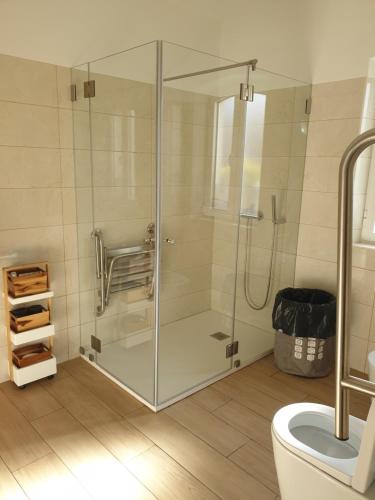 a glass shower in a bathroom with a toilet at Casa das Almoleias in Castro Verde