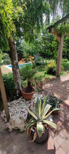 a garden with potted plants on a patio at Directors room Swimmingpool Ecolodge Tilburg in Tilburg