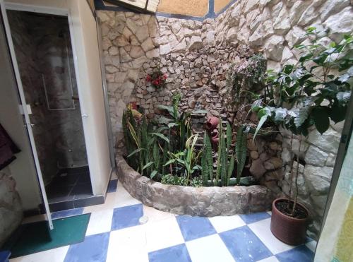 a garden with plants in a stone wall at Hospedaje Casa Aurora in Cali