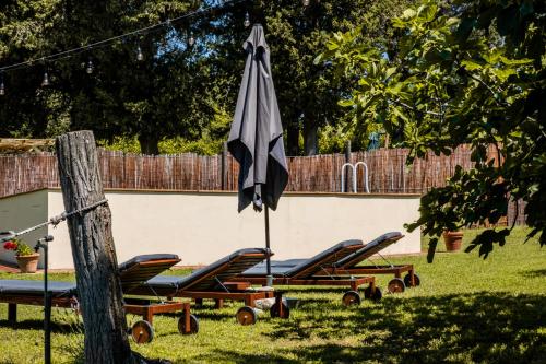 a group of chairs and an umbrella in the grass at CASENUOVE II - Casale con parco e piscina in Castiglioncello