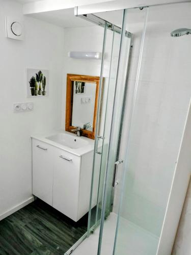 une salle de bain avec un lavabo et une douche en verre dans l'établissement Petite Maison Cosy en Baie, à Hillion