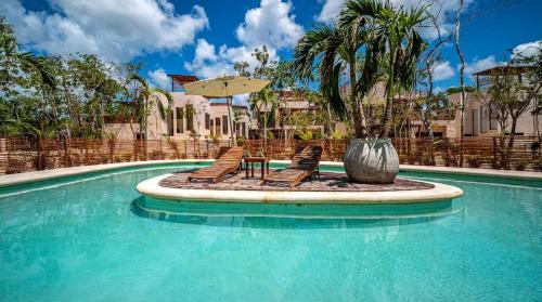 Roof Con Plunge Pool Copal 302