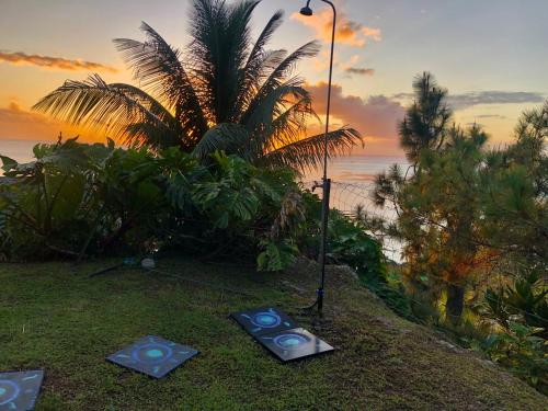 three yoga mats on the grass with a palm tree at Fare Mirimiri in Uturoa