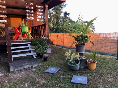 a patio with plants and a table and a chair at Fare Mirimiri in Uturoa