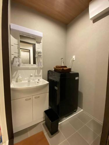 a bathroom with a sink and a mirror at リブレ in Kumamoto 301 in Kumamoto