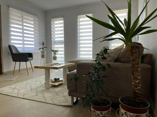 sala de estar con sofá y mesa con plantas en Casa con vista al mar!, en Tomé