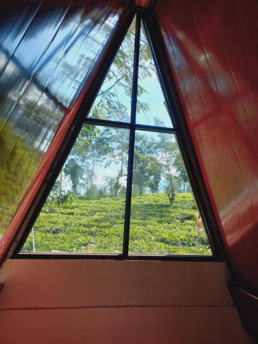 a window view of a field from a train at Agora Home in Wonosobo