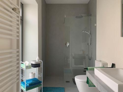 een badkamer met een douche, een toilet en een wastafel bij Ferienwohnung Haus Knäppen Size S in Oelde