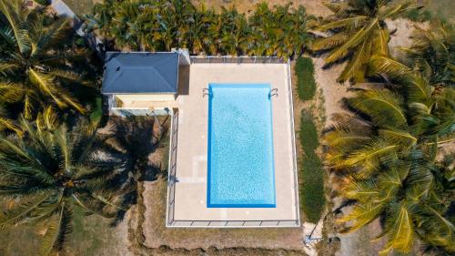 an overhead view of a swimming pool and palm trees at Cocon Dumyse in Petit-Bourg