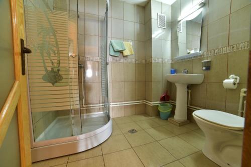 La salle de bains est pourvue d'une douche, de toilettes et d'un lavabo. dans l'établissement La Mitica, à Rânca