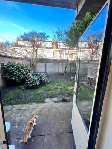 a cat looking out of a door at a yard at 2de double bed room in The Hague