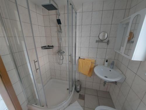 y baño con ducha, aseo y lavamanos. en Apartma Markelj en Radovljica
