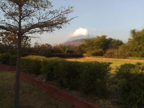 a view of a mountain from a garden at AGASARO ECO RESORT 