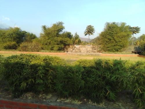 a view of a park with trees and bushes at AGASARO ECO RESORT 