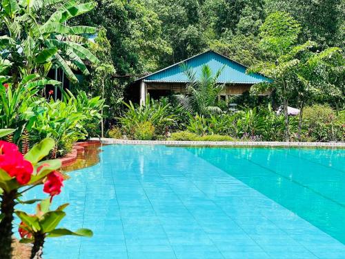 uma piscina azul em frente a uma casa em Phong Nha Eco Village em Phong Nha